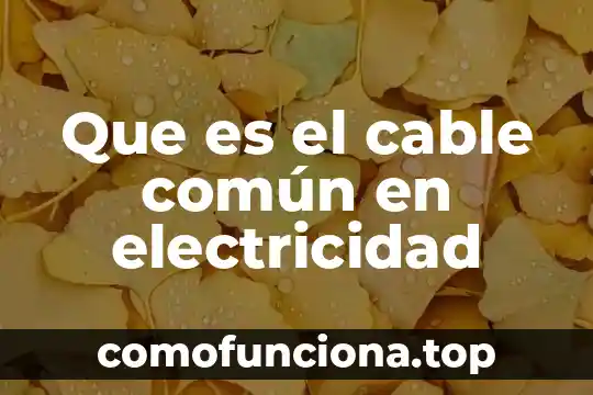 Qué es cable de red en una computadora 6 Que es el cable común en electricidad