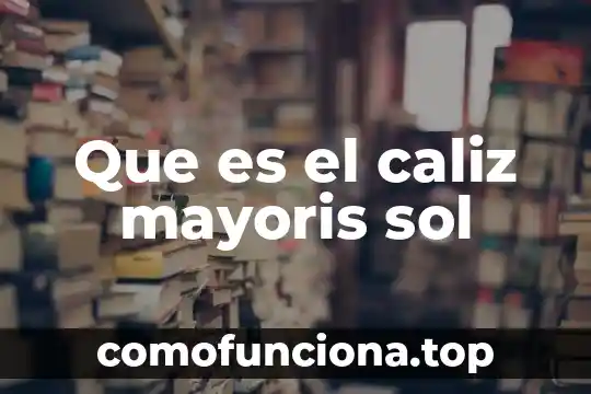 Qué es el mallado en SOL 7 Que es el caliz mayoris sol
