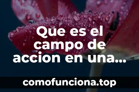 Que es la accion reciproca de una sociedad 8 Que es el campo de accion en una investigacion cientifica