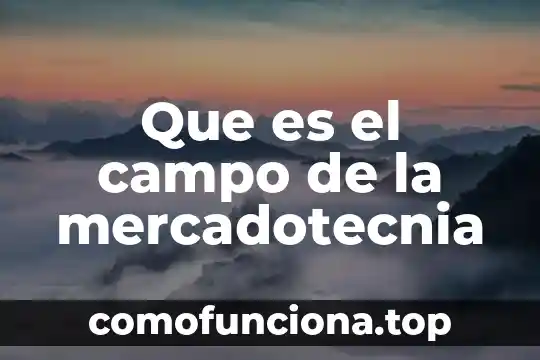 Qué es un subsolador en el campo 7 Que es el campo de la mercadotecnia