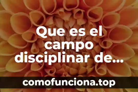 Que es campo magnectico 4 Que es el campo disciplinar de ciberbullying