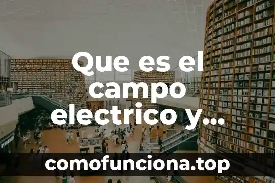 Que es etnia ejemplo 8 Que es el campo electrico y ejemplo