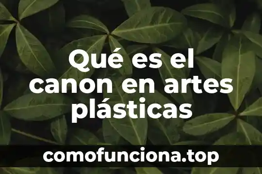 Que es ser canon en anime 5 Qué es el canon en artes plásticas