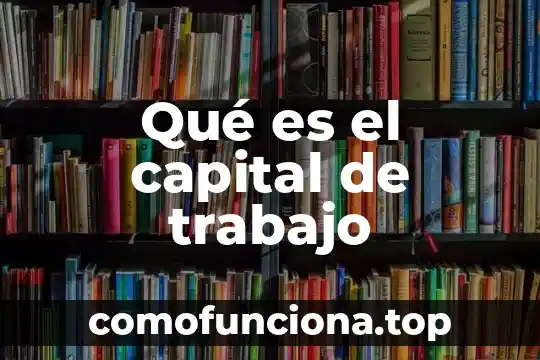 Que es el capital social y tipos de capital social 4 Qué es el capital de trabajo