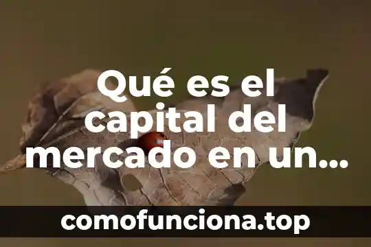 Que es ser asesor financiero 7 Qu茅 es el capital del mercado en un an谩lisis financiero