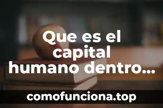 El ser humano saludable que es 3 Que es el capital humano dentro de una organizacion