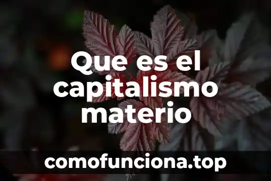 Según el capitalismo que es la oferta 5 Que es el capitalismo materio
