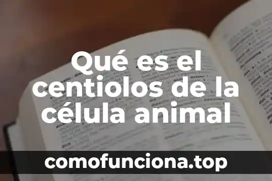 Qué es una célula de apoyo 6 Qué es el centiolos de la célula animal