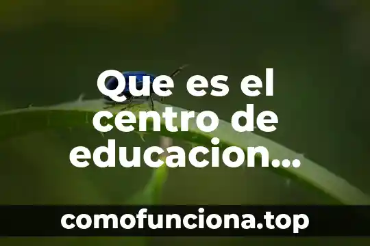 Que es ser pavo en chile 7 Que es el centro de educacion turistica