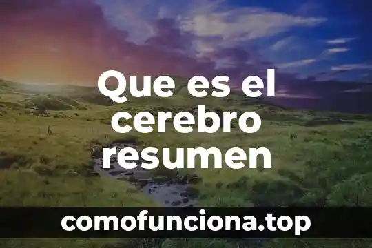 Que es el glasnost resumen 6 Que es el cerebro resumen
