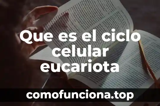 Que es una celula eucariota animal funciones y caracteristicas 5 Que es el ciclo celular eucariota