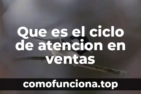 Qué es un ciclo en teoría de grafos 6 Que es el ciclo de atencion en ventas