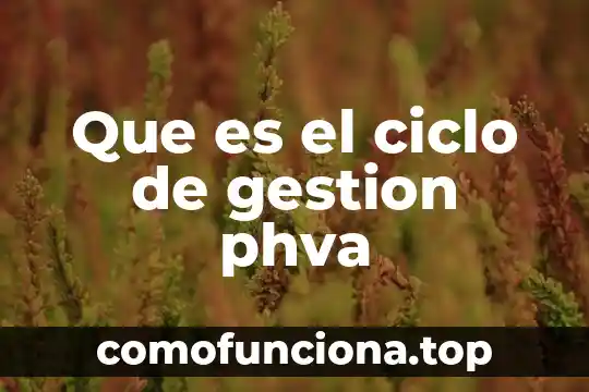 Que es una idea secundaria en un texto 4 Que es el ciclo de gestion phva