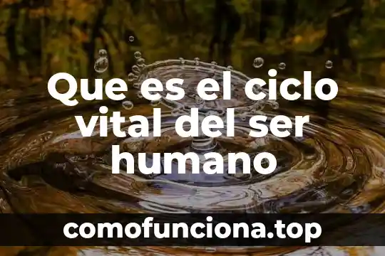 Que es el espacio vital de lewin 7 Que es el ciclo vital del ser humano