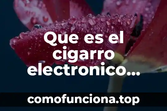 Que es el documento electronico en comercio exterior 6 Que es el cigarro electronico consecuensias