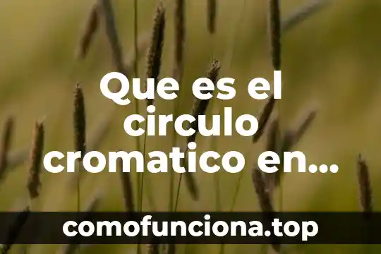 Que es sombra y sus caracteristicas en el arte 6 Que es el circulo cromatico en el arte