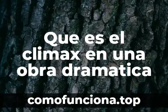 Que es la obra en el absolutismo 5 Que es el climax en una obra dramatica