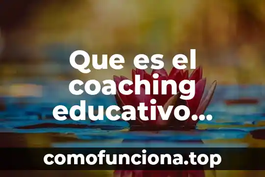 Significado de que es perico donde quiera es verde 4 Que es el coaching educativo donde nace