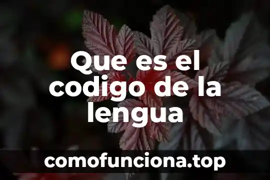 Que es la lengua indigena en mexico 5 Que es el codigo de la lengua
