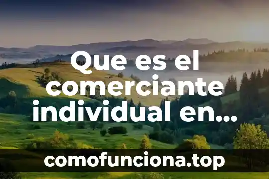 Que es una sociedad mercantil asociacion en participacion 4 Que es el comerciante individual en derecho mercantil ejeplos