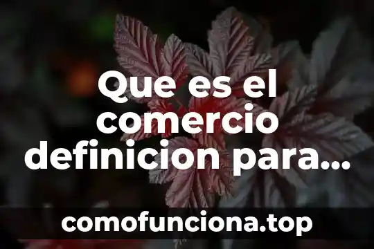 Qué es MDN definición 3 Que es el comercio definicion para niños