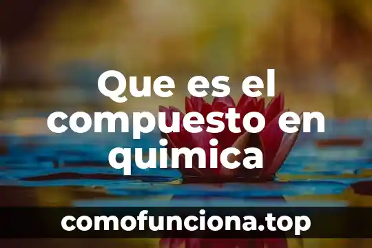 Que es ide y las partes que esta compuesto 7 Que es el compuesto en quimica