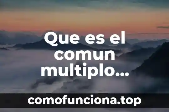 Que es un minimo comun multiplo y maximo comun divisor 6 Que es el comun multiplo primaria