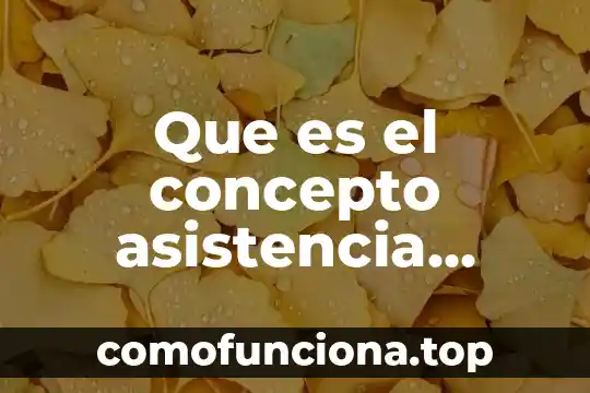 Qué es un ajustador de seguros vehicular 8 Que es el concepto asistencia social vehicular