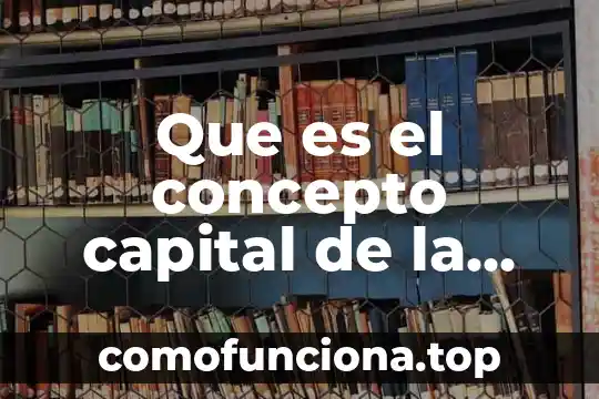Que es el preambulo concepto 8 Que es el concepto capital de la contabilidad