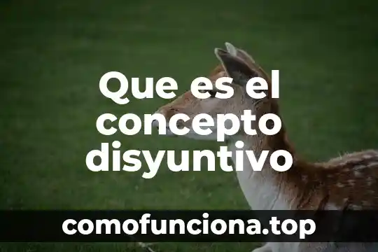 Qué es un segmento rectilíneo concepto 5 Que es el concepto disyuntivo