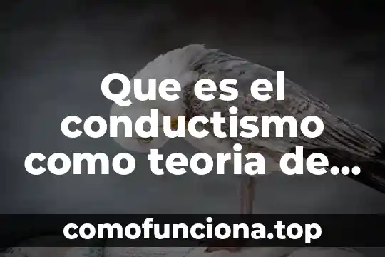 Que es el funcionamiento cognitivo 3 Que es el conductismo como teoria de la educacion