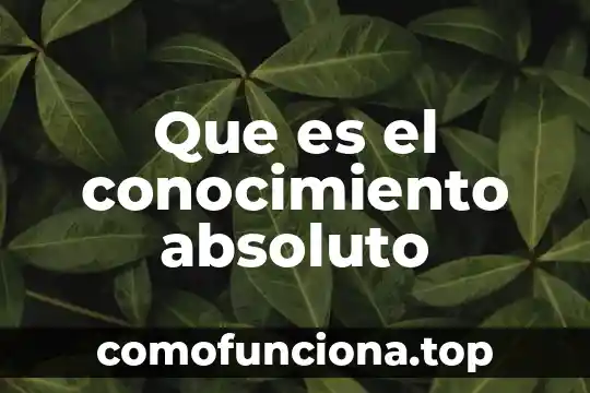 Que es el espiritu objetivo y absoluto 3 Que es el conocimiento absoluto