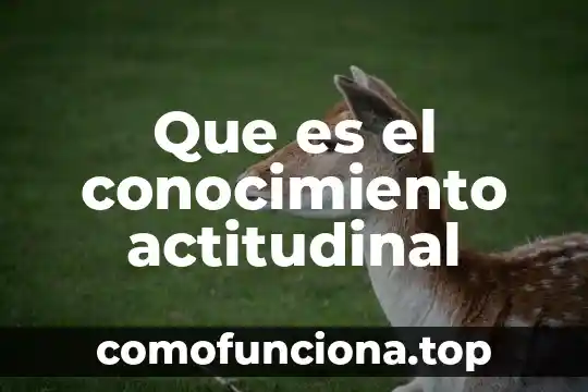 Que es el conocimiento intuitivo y discursivo 3 Que es el conocimiento actitudinal