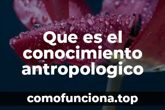 Que es el conocimiento web 5 Que es el conocimiento antropologico
