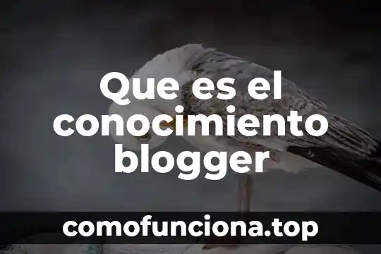 Que es el conocimiento web 7 Que es el conocimiento blogger
