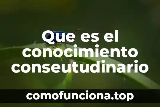 Que es color en arquitectura 7 Que es el conocimiento conseutudinario