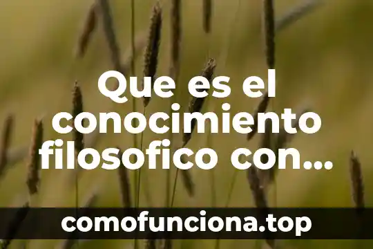 Qué es el conocimiento desde el punto de vista filosófico 7 Que es el conocimiento filosofico con sus estapas