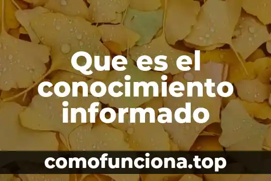 Que es el nivel de conocimiento y sus clasificaciones 5 Que es el conocimiento informado