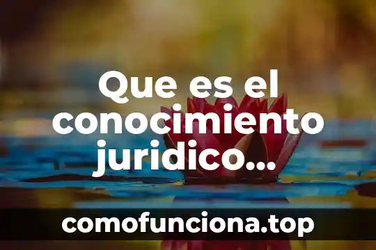 Que es el conocimiento web 8 Que es el conocimiento juridico definicion