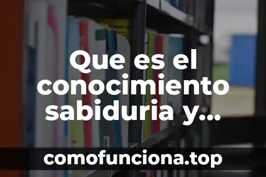 Que es la sabiduria como valor 5 Que es el conocimiento sabiduria y creencia