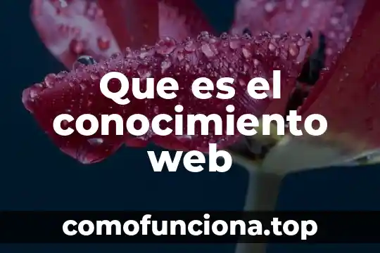 Qué es un conocimiento conceptual 3 Que es el conocimiento web