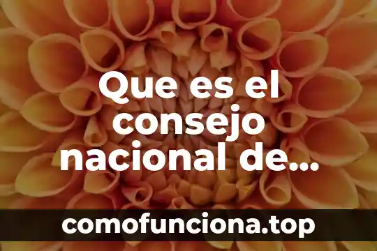 Qué es un tubular de valores en geometría 7 Que es el consejo nacional de valores