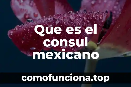 Que es la introduccion al conocimiento mexicano 5 Que es el consul mexicano