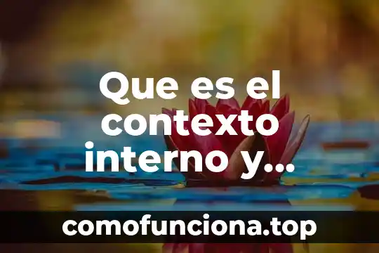 Qué es la figura supervisor externo de obra 8 Que es el contexto interno y externo de un cuento