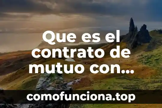 Que es un vicio de violencia en un contrato 8 Que es el contrato de mutuo con interes