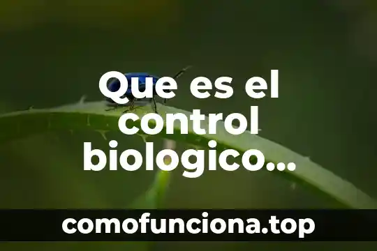 Abreviatura que es y ejemplo 3 Que es el control biologico ejemplo nombres