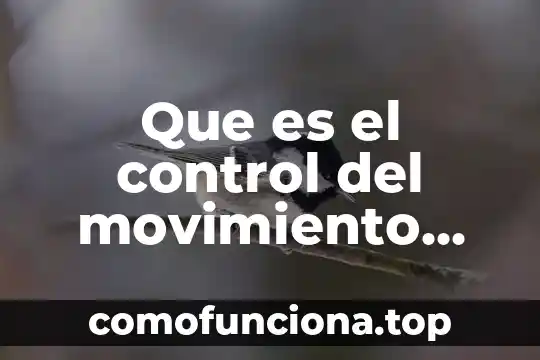 Que es el iso en informatica 6 Que es el control del movimiento corporal
