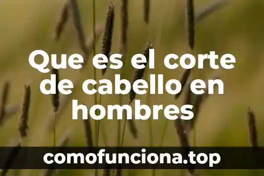 Que es un estudio de corte transversal 3 Que es el corte de cabello en hombres