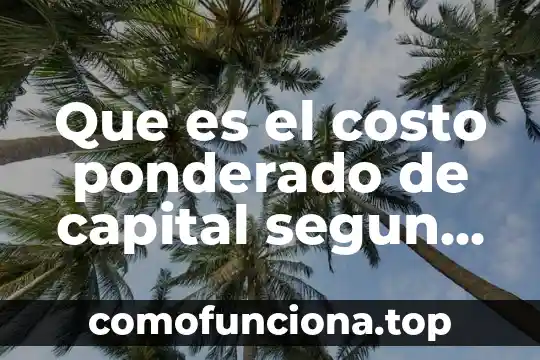 Que es el metodo precio promedio ponderado ppp 3 Que es el costo ponderado de capital segun autores