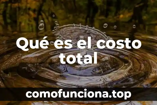 Qué es producto total en economía 8 Qué es el costo total